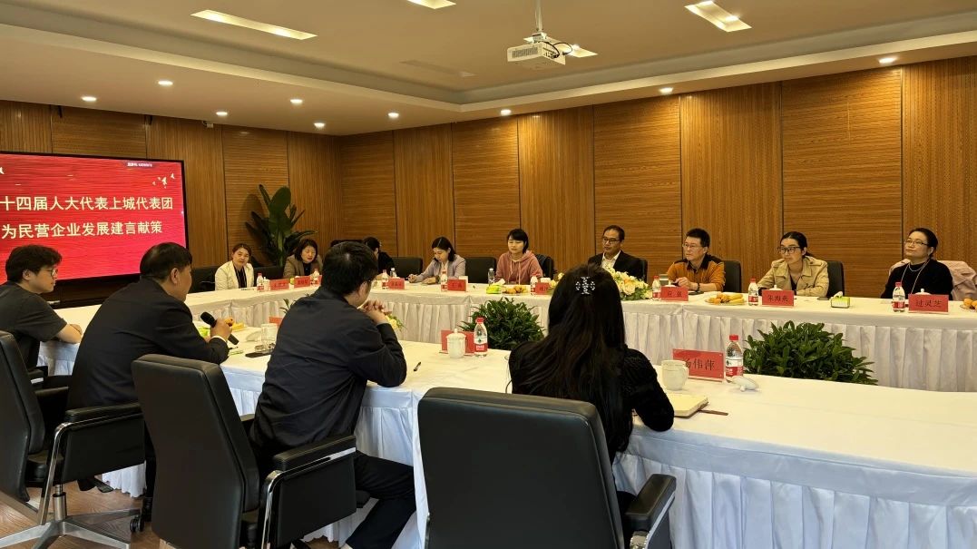 市十四届人大代表上城代表团赴PA视讯视察民营企业发展